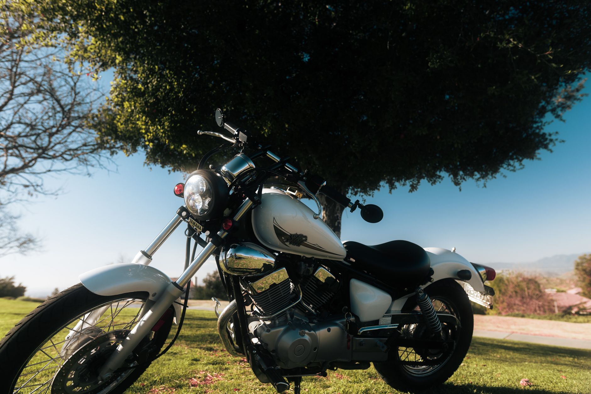 Les motos chopper : comment conjuguer allure et liberté sur la route ?